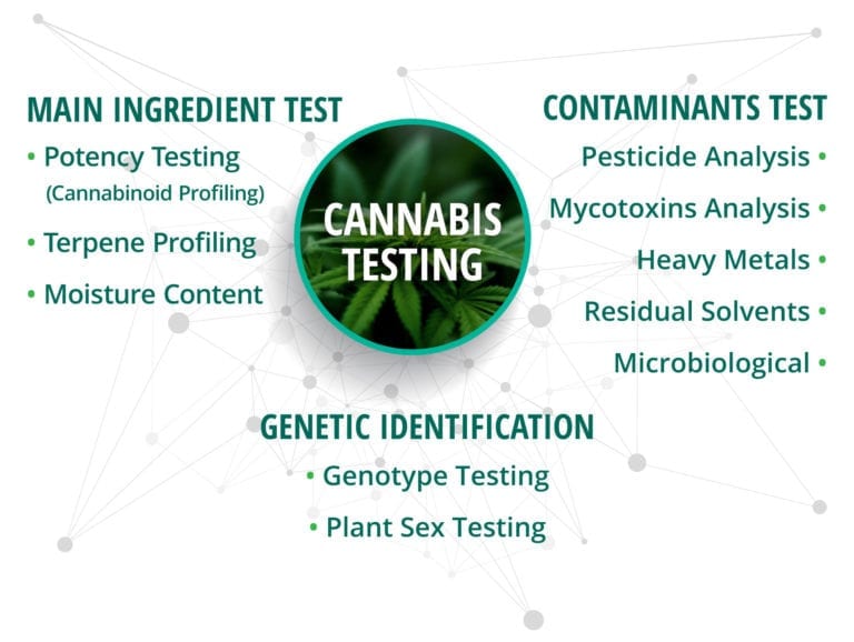 Cannabis And Hemp Laboratory Testing Services - Sigma Analytical Services